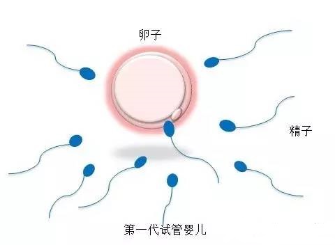 男科